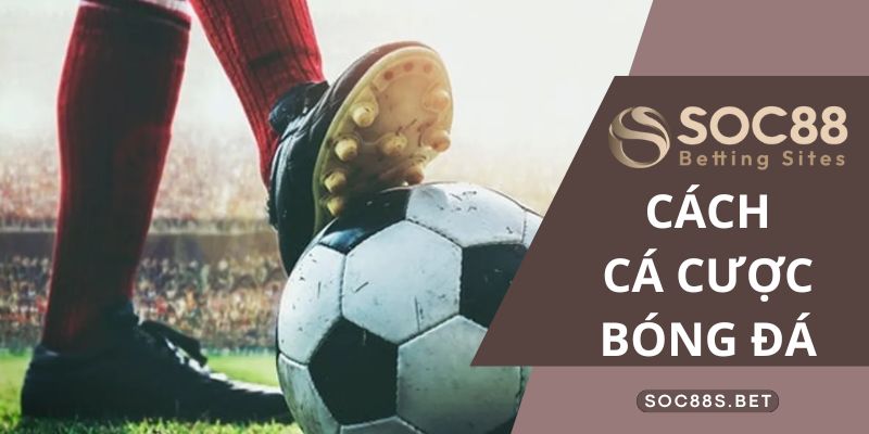 Tìm hiểu chung về cách cá cược bóng đá SOC88