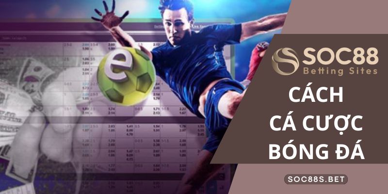 Gia nhập diễn đàn hướng dẫn cá cược bóng đá SOC88