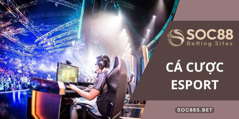 Thông tin tổng quan về cá cược Esport 