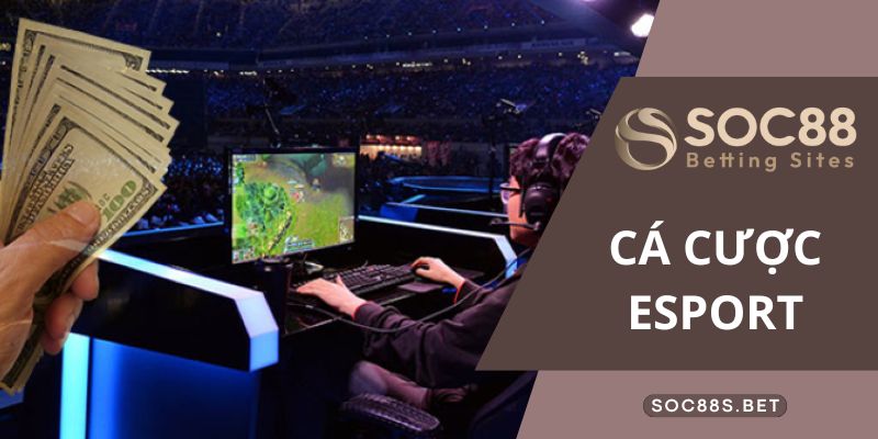 Những thể thể loại game cá cược Esport phổ biến tại nhà cái SOC88