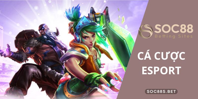 Kinh nghiệm chơi cá cược Esport của các chuyên gia SOC88