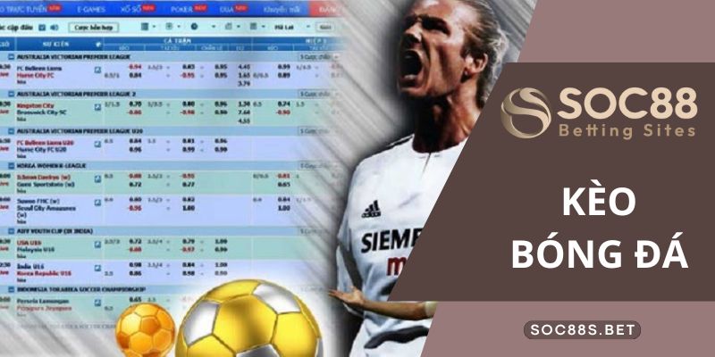 Bật mí cho cược thủ cách đọc kèo bóng đá chuẩn nhất tại SOC88