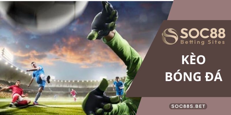 Hướng dẫn đọc kèo bóng đá chuẩn đéc: Kèo Chấp, Tài Xỉu, 1X2 Hướng dẫn đọc kèo bóng đá chuẩn đéc: Kèo Chấp, Tài Xỉu, 1X2