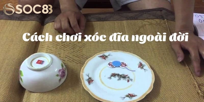 Khám phá chung về trò chơi xóc đĩa