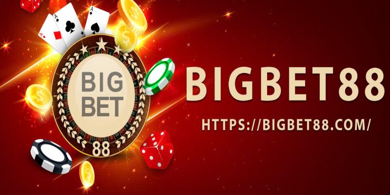 Các thông tin chính thống về nền tảng Bigbet